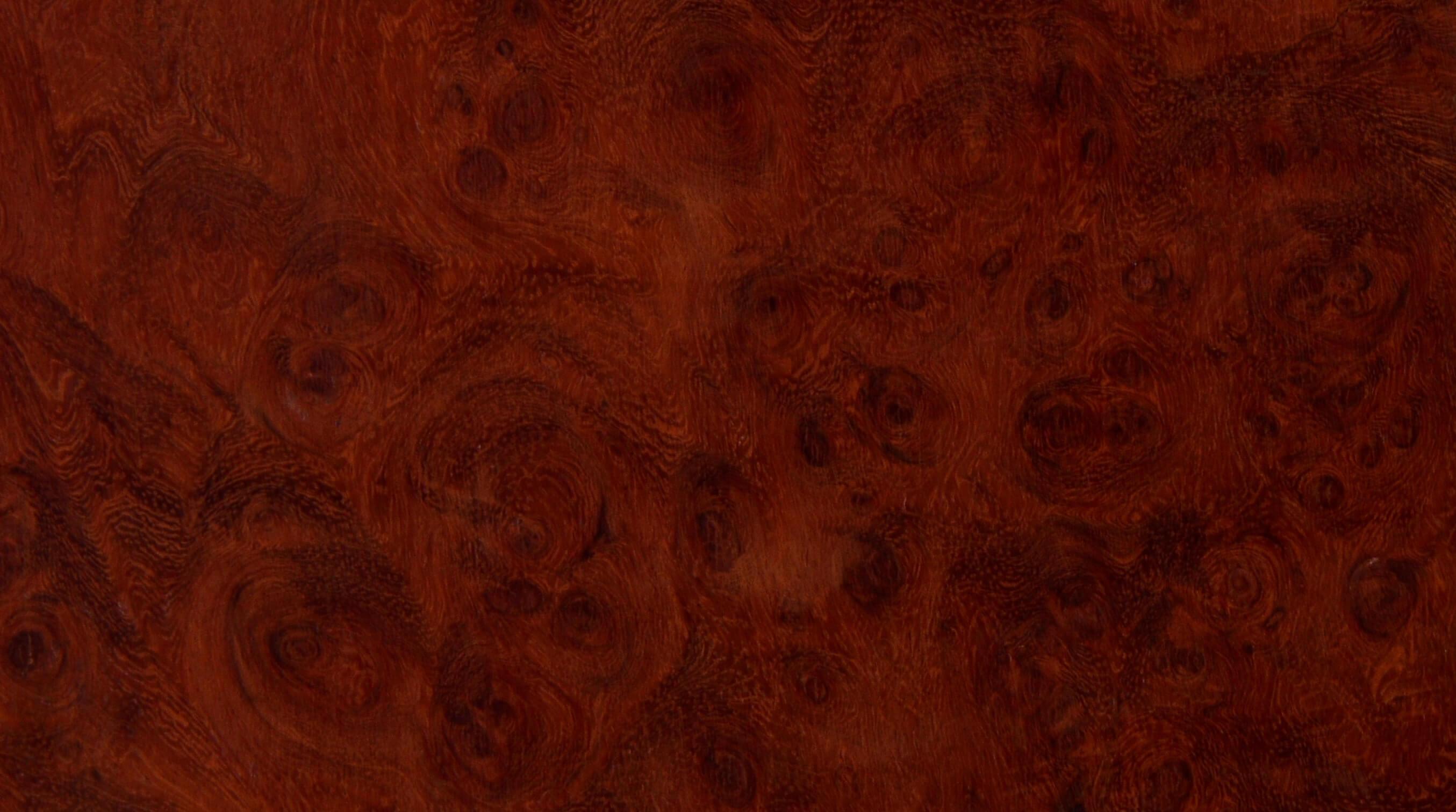 grand-cuvee-by-vacation-bg